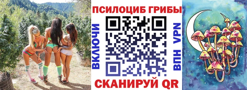 сайты даркнета клад Баксан Псилоцибиновые грибы Psilocybe